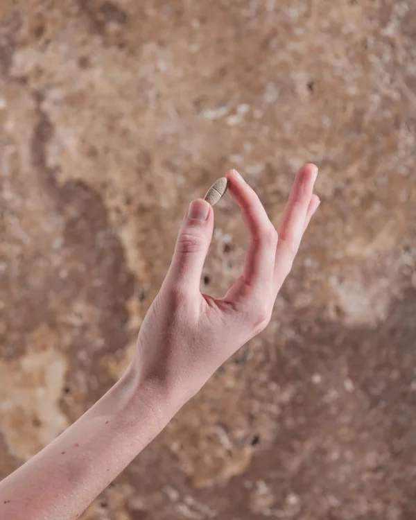 Herbs of Gold Mind Ease