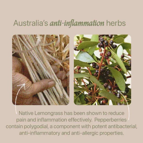 Roogenic Inflammation Tea (Anti-Inflammitea)