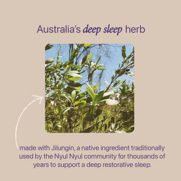 Roogenic Native Sleep Tea