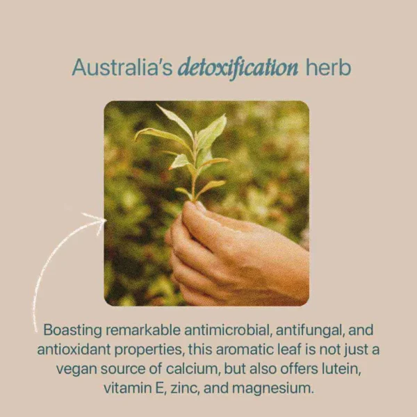 Roogenic Detox Tea